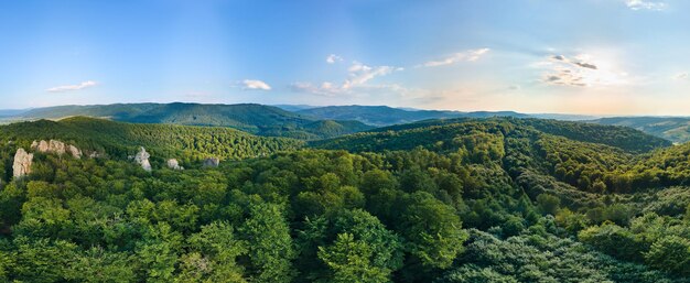 Aerial view of mountain hills covered with dense green lush woods on bright summer day.