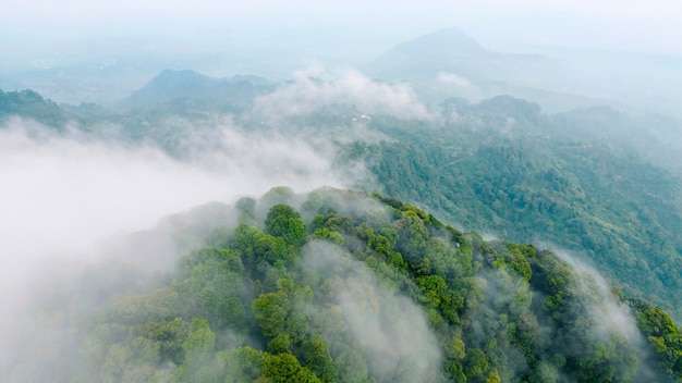 Aerial view of mountain peak with green trees in fog