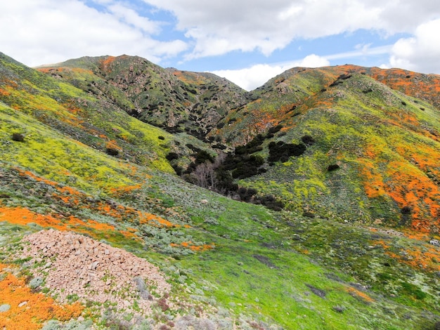 Aerial view of Mountain with California Golden Poppy and Goldfields blooming in Walker Canyon