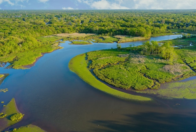 Aerial view of natural pond on a sunny summer day forest panorama