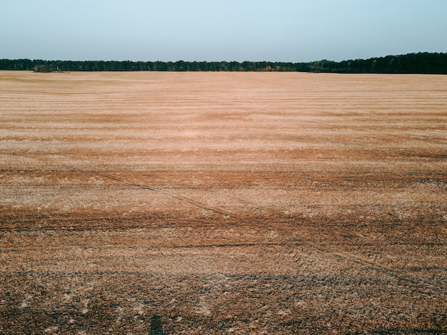 Aerial view of an open field during the day