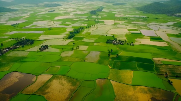 Aerial view of oriental Rice fields surreal rice cultivation landscape asian green planes and plantations Generative AI