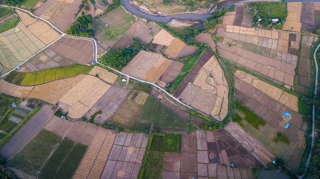 Aerial view of Paddy field after harvesting and preparing the area to grow rice in the new season in NAN, THAILAND. agricultural concept