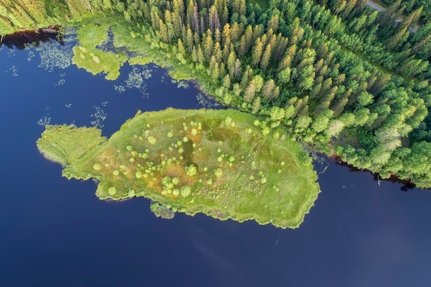 Aerial View On Picturesque Lake Forests and lakes of Karelia from above