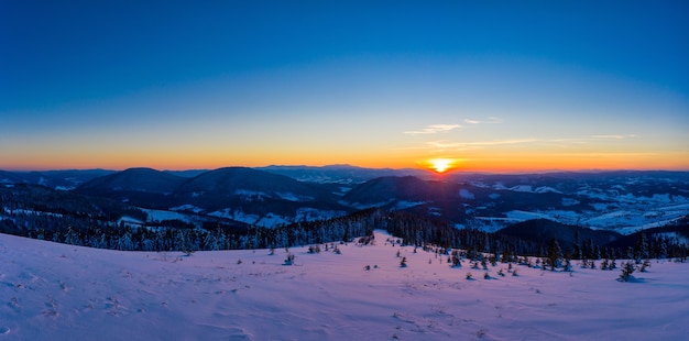 Aerial view of picturesque landscape of slender tall fir trees growing on snowy hills on a sunny winter and clear day against a blue sky