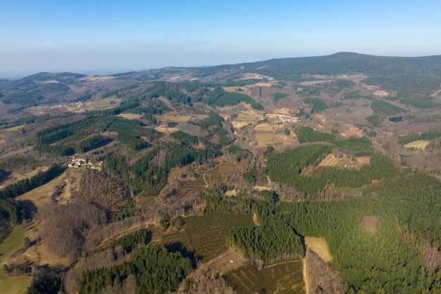 Aerial view of pine forest with large area of cut down trees as result of global deforestation industry Harmful human influence on world ecology