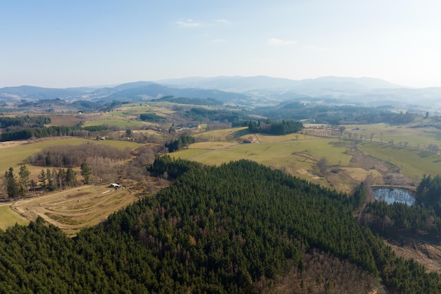 Aerial view of pine forest with large area of cut down trees as result of global deforestation industry Harmful human influence on world ecology