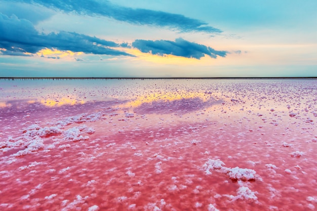 Aerial view of pink lake and sandy beach