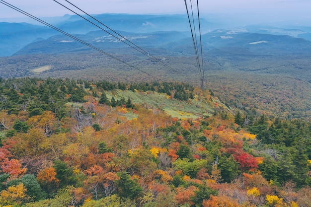 Aerial view of red leaf autumn fall season for Forest woodland From Hakkoda Mountain with Hakkoda Ropeway in Aomori Tohoku Japan