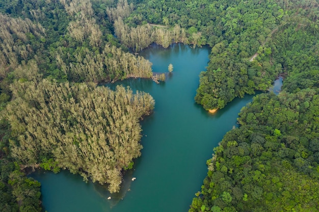 Aerial view of Reservoir in Hong Kong