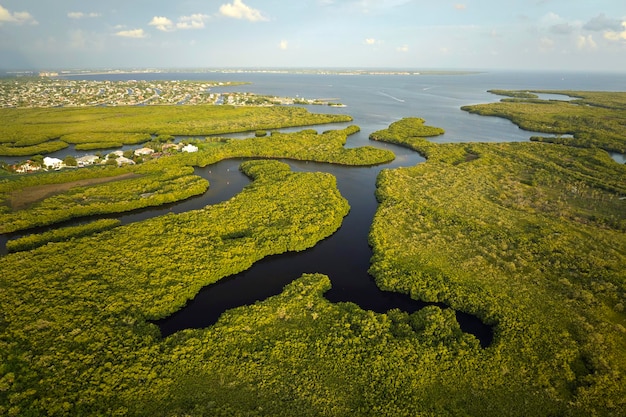 Aerial view of residential suburbs with private homes located near wildlife wetlands with green vegetation on sea shore Living close to nature concept