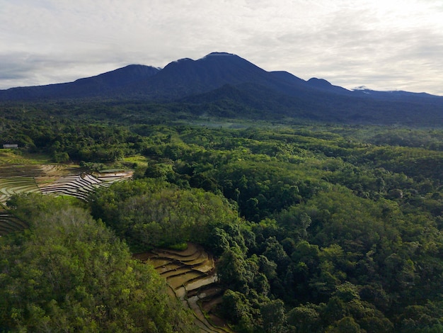 Aerial view of rice field terraces under Barisan Mountain at sunrise