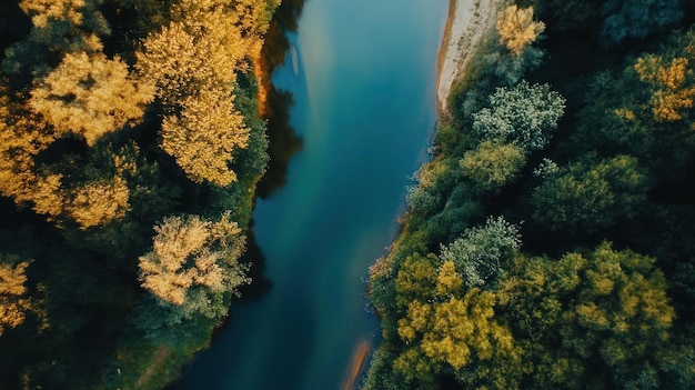 Photo aerial view of a river cutting through a dense forest