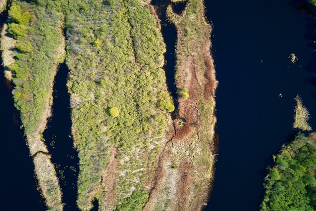 Aerial view of river floodplan and green forest in summer day bird eye view of beautiful nature landscape