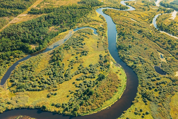 Photo aerial view of river flowing through forest