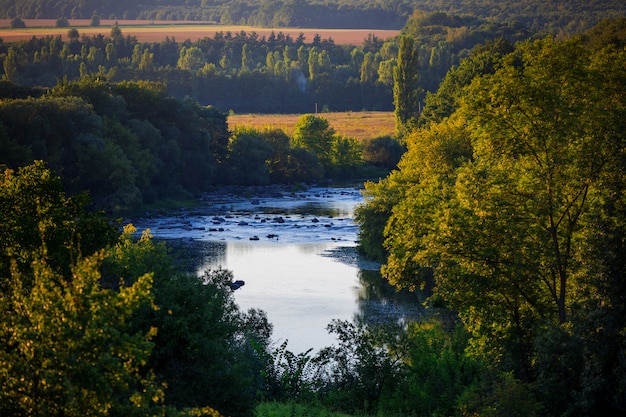 Photo aerial view of river and forest.