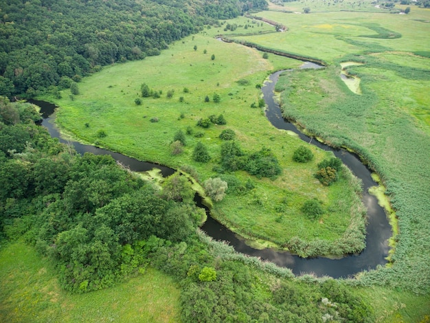 Aerial view over the river which is on the green forest.