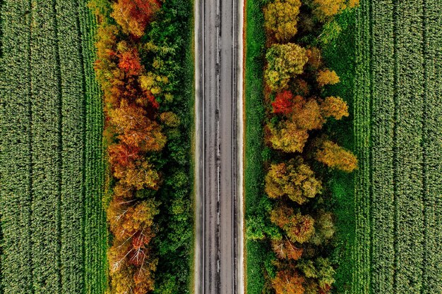 Aerial view of road in autumn forest with red yellow and orange leaves Top view from above