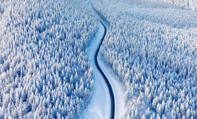 Aerial view on the road and forest at the winter time Natural winter landscape from air Forest under snow a the winter time Landscape from drone