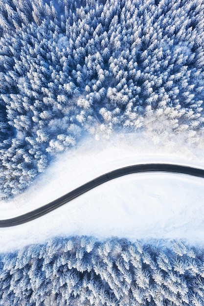 Aerial view on road and forest at winter time Natural winter landscape from air Forest under snow in winter time Landscape from drone