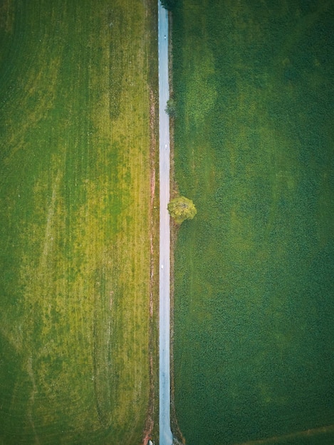 Aerial view of a road in a green field