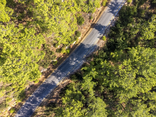 Aerial View of Road Between Pine Forest and Akyaka Road, Turkey