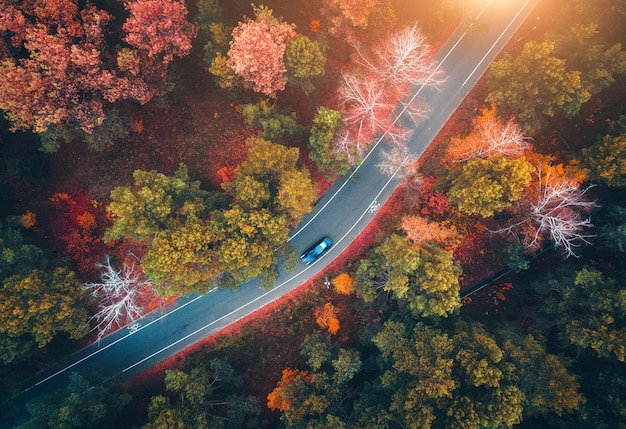 Aerial view of road with blurred car in autumn forest