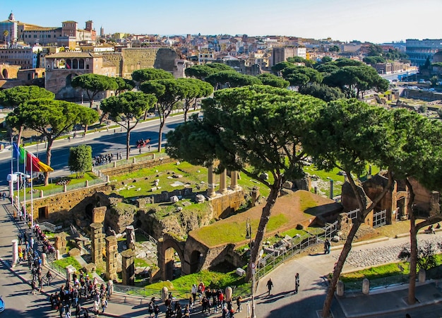 Aerial view of Roman historical buildings Ancient Ruins Coliseum and Imperial Forums Street Via dei Fori Imperiali Beautiful Italian Stone Pines Pinus Pinea Rome Italy January 2012