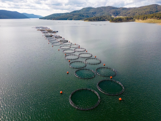 Aerial view of round mesh fences are commonly used for trout breeding in the natural environment of lakes