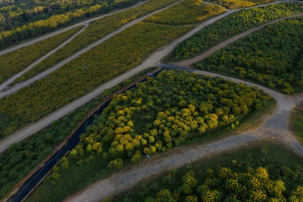 Aerial view of scenics green landscape