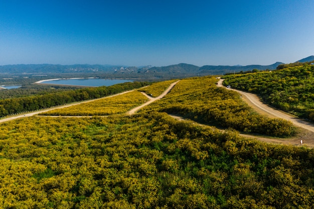 Aerial view of scenics green landscape