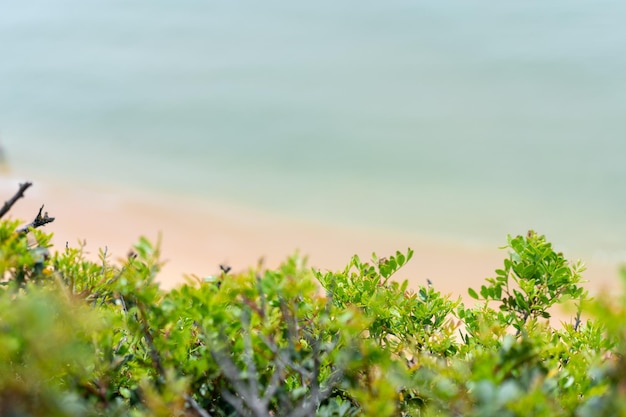 Aerial view of sea waves and sandy beach