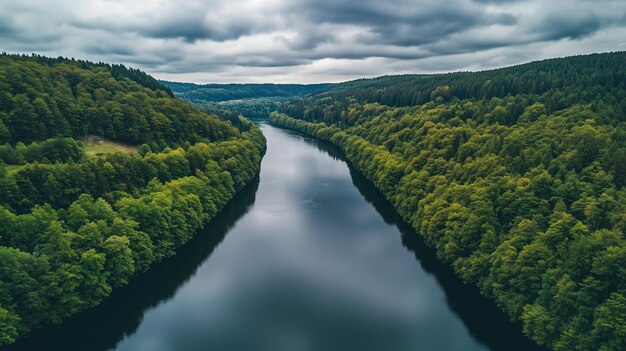 Photo aerial view of a serene river surrounded by lush green forests under a cloudy sky