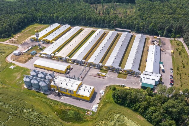 Aerial view on silos and agroindustrial livestock complex on agroprocessing and manufacturing plant with modern granary elevator chicken farm rows of chicken coop