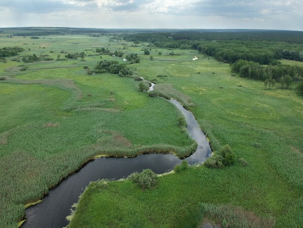 Aerial view over the small river which is on the green meadow.