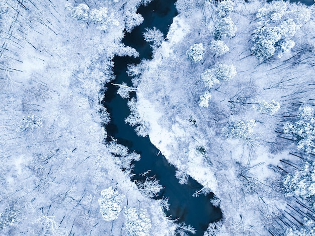 Aerial view of snowy forest and small river in winter