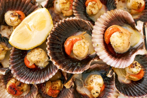 Aerial view of some scallops cooked on a white plate.