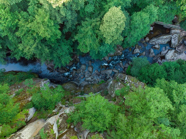 Aerial view of a stream in the forest in Rhodope Mountains near the town of Devin