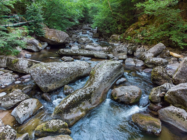 Aerial view of a stream in the forest in Rhodope Mountains near the town of Devin