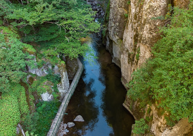 Aerial view of a stream in the forest in Rhodope Mountains near the town of Devin