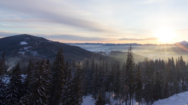 Aerial view of sunrise in winter forest mountains with lot of snow and snowy trees in cold morning nature landscape