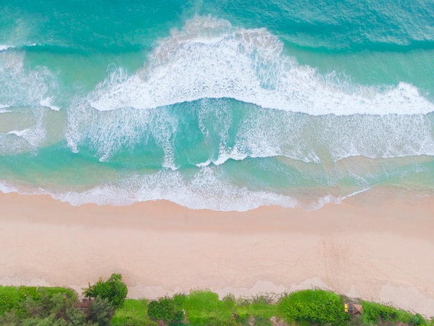 Aerial view top view Beautiful topical beach with white sand coconut palm trees and sea. Top view empty and clean beach. Waves crashing empty beach from above.