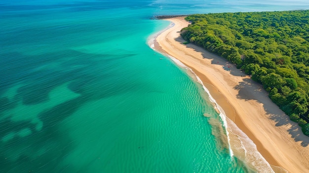 Aerial View of a Tropical Beach An aerial view of a tropical beach with crystalclear blue water and a long sandy shore