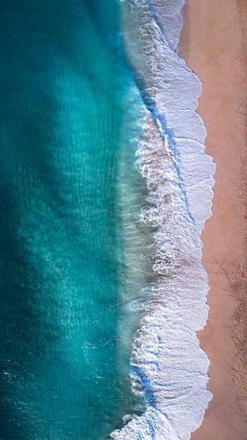 Aerial view of a tropical beach with a blue clean water