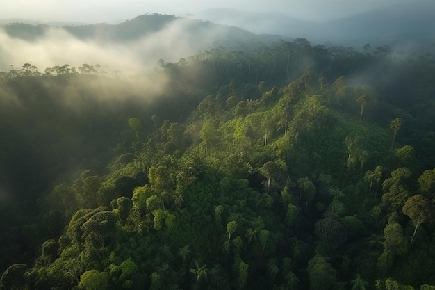 Aerial view of a tropical forest with a mountain in the background