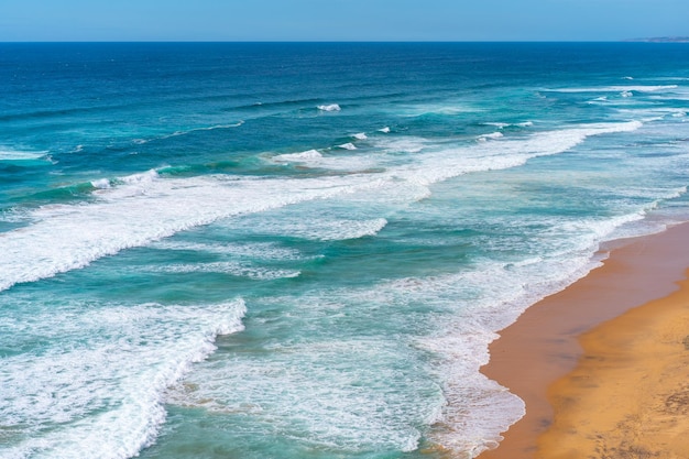 Aerial view of tropical sandy beach and ocean