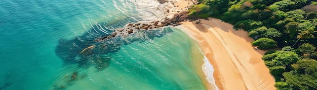 Aerial View of Turquoise Water Meeting Golden Sand Beach An aerial view of a tropical beach with turquoise water meeting golden sand