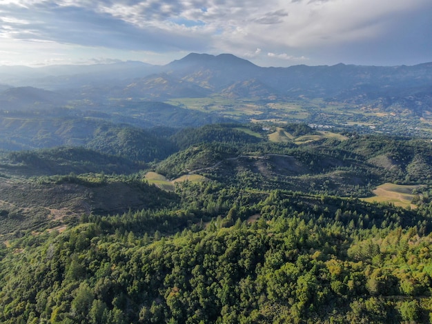 Aerial view of the verdant hills with trees in Napa Valley California USA