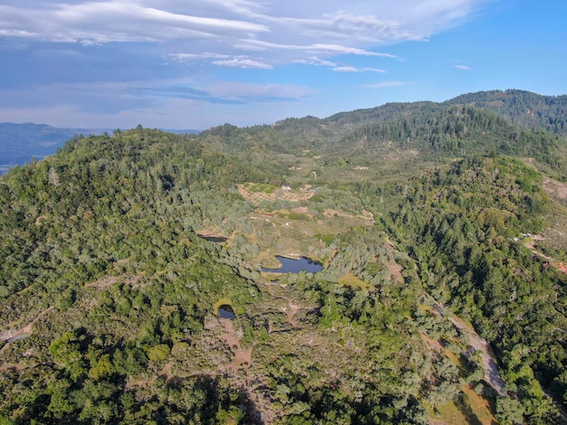 Aerial view of the verdant hills with trees in Napa Valley California USA