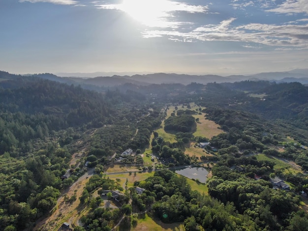 Aerial view of the verdant hills with trees in Napa Valley California USA